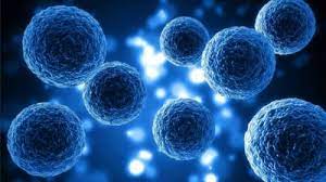 New Research Report on Stem Cell Therapy Market 2021 Market Size, Growth, Trends, Opportunities Forecast To 2027